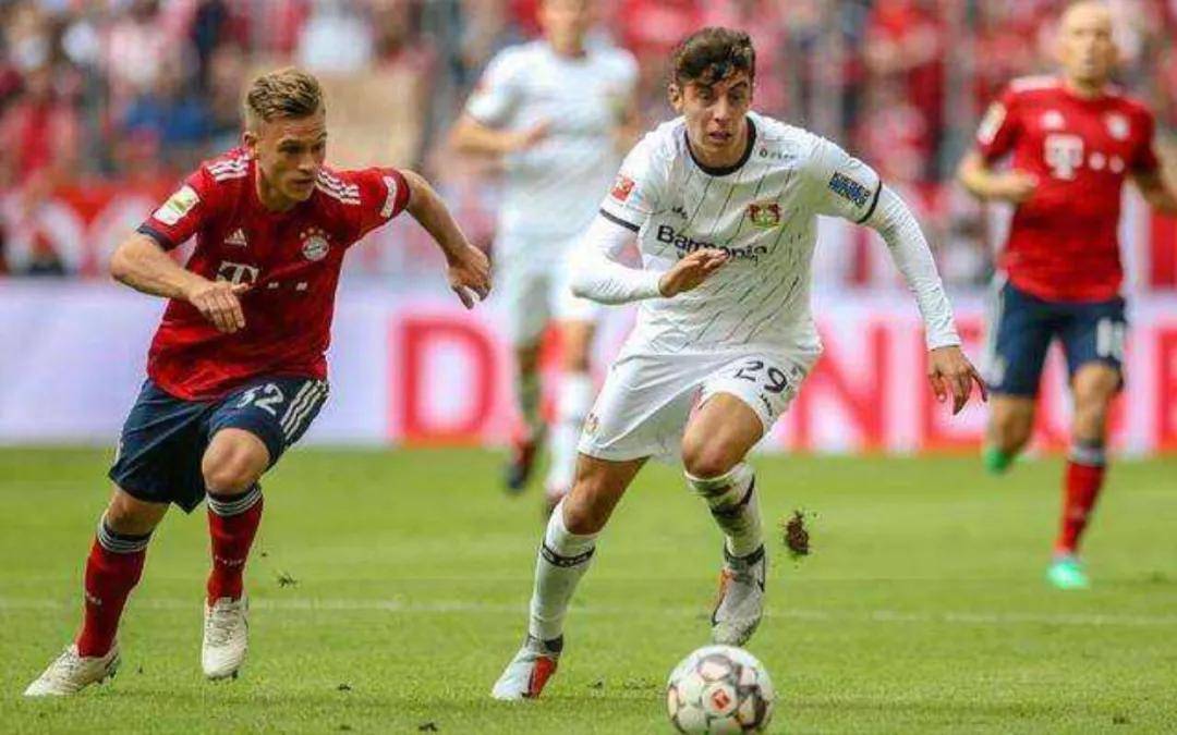 世俱杯奖金-克罗托内球员受伤，未能继续征战意甲赛场