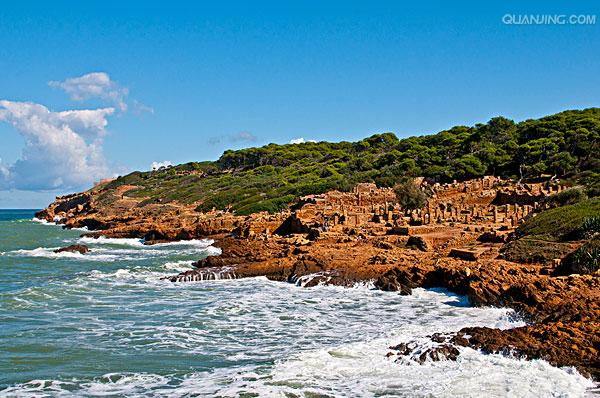 世俱杯冠军-包含阿尔及利亚女足实力暴涨，崭露头角冲顶的词条