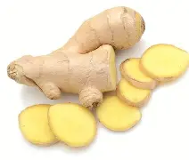 世俱杯分组-阿让队传统战士吃姜不怕辣多一分胜机