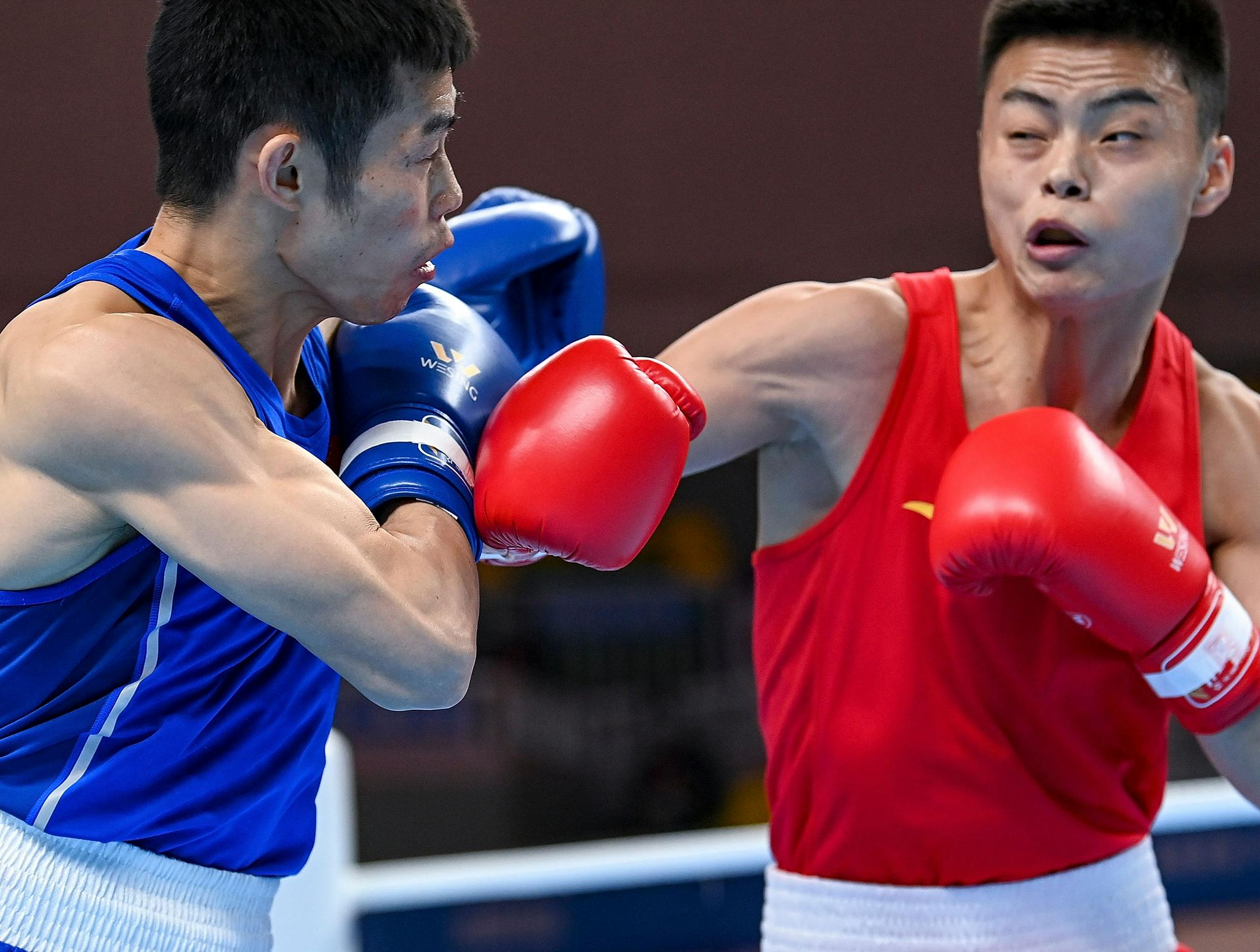 世俱杯直播-拳击半决赛:胜负难料,选手誓夺桂冠的简单介绍