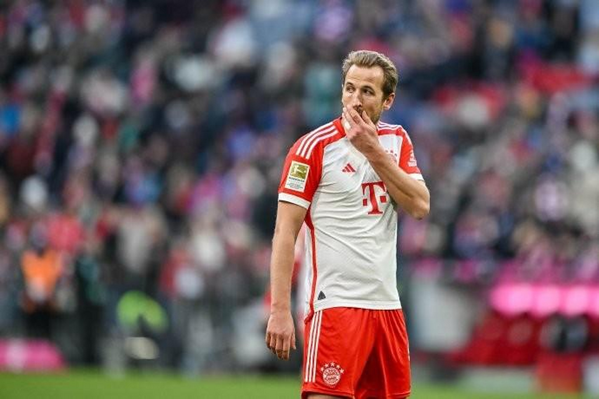 不来梅主场一分热度,固守阵地拒绝失利 不来梅主场一分热度,固守阵地拒绝失利