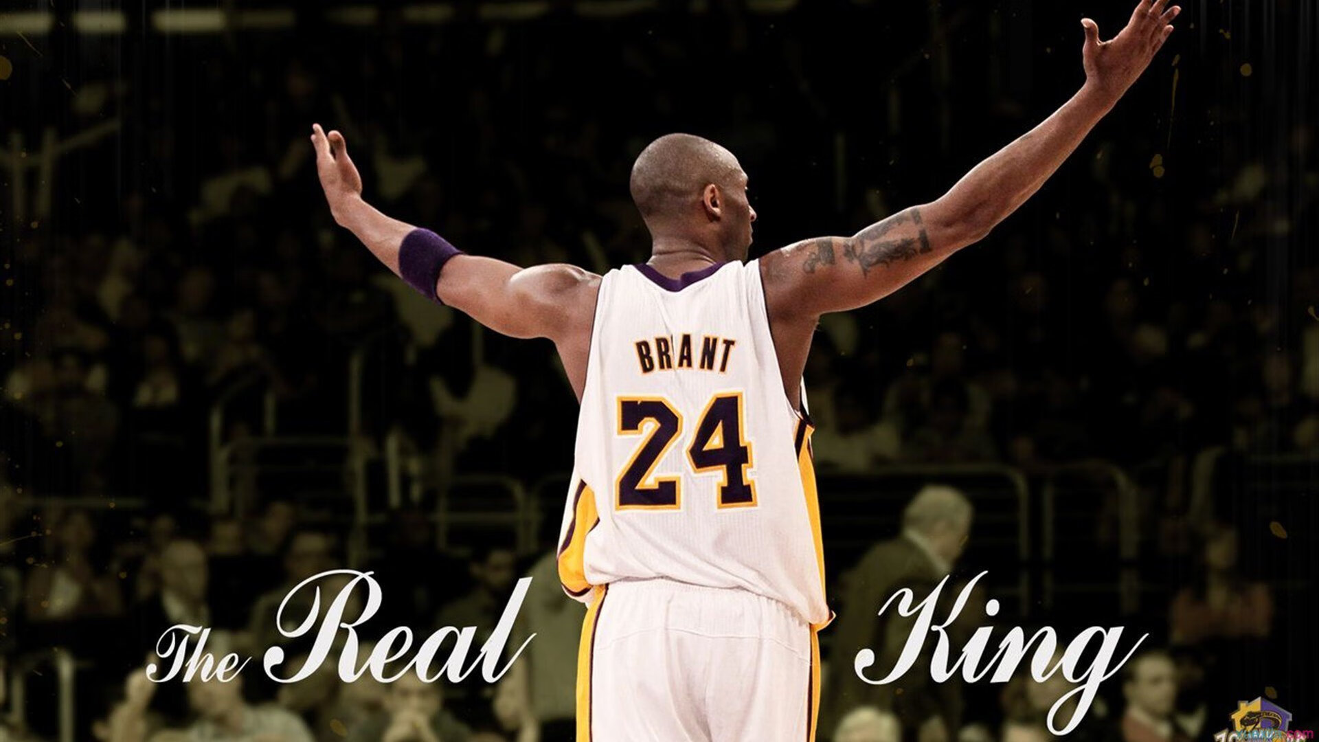 撒哈拉之门前的眼泪,喀麦隆用萨纳加河之水浇灭沙漠之火,法比尼奥定义现代后腰终极价值